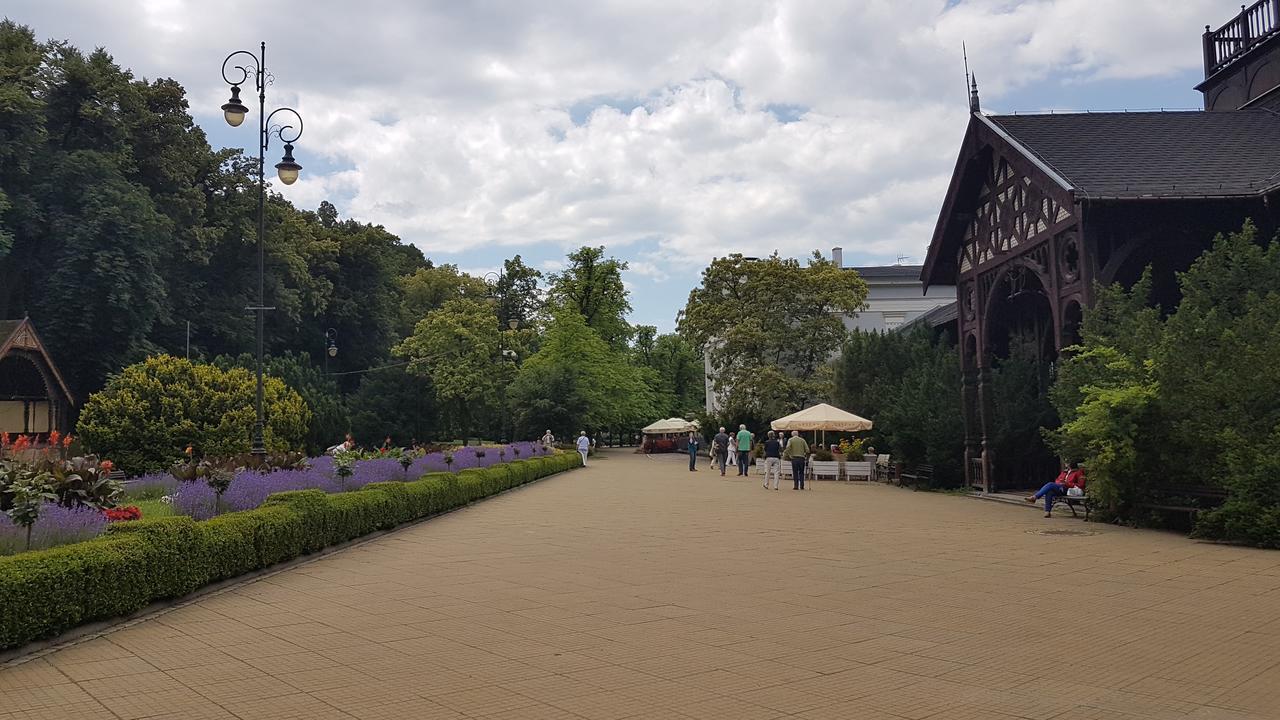 Wanda Apartment Szczawno-Zdroj Ngoại thất bức ảnh
